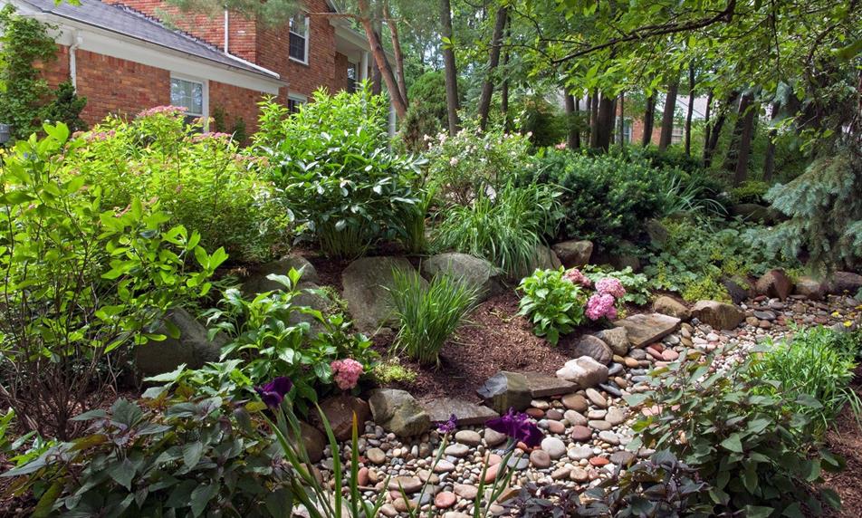 APL Sustainable Drainage System (SuDS) Garden, designed by APL General Manager Phil Tremayne: